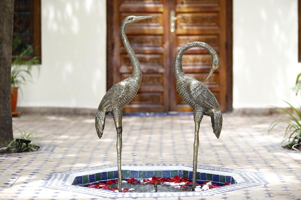 رياد رياض دارية